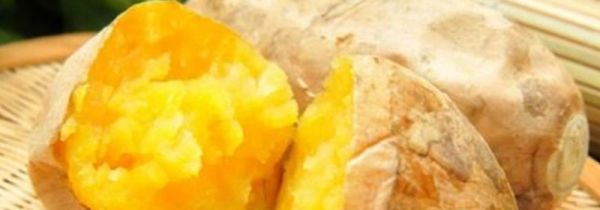 红薯不适宜人群