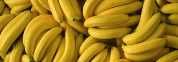 不含草酸的水果和食物