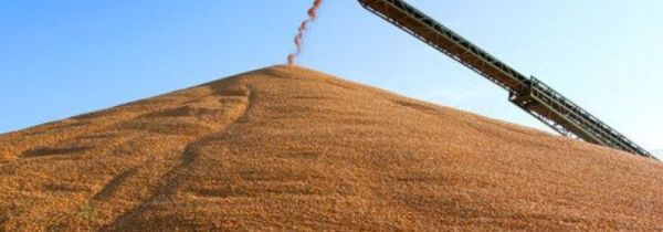 粮食如何长时间储存