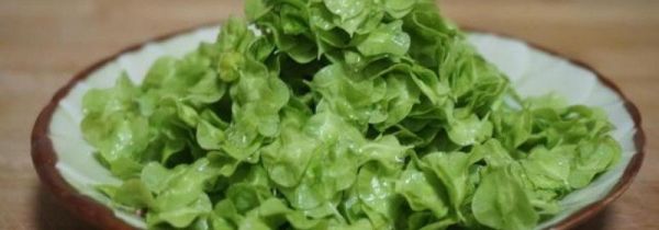 榆钱怎么长时间储存