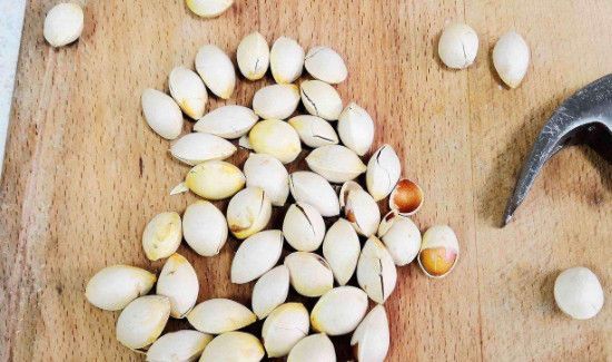 白果一天最多吃几颗