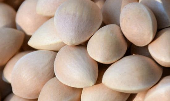 银杏果皮汁有毒吗