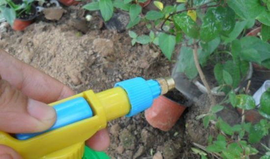 可乐可以浇花吗