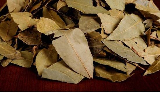 香叶可以用来做什么