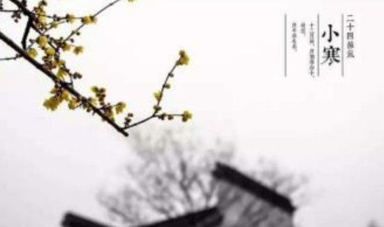 小寒是什么时候