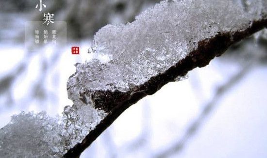 小寒需要注意什么