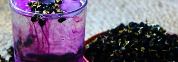 黑枸杞的正确吃法和适合人群