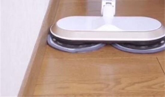 蒸汽拖把能杀跳蚤蛋吗