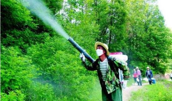 消毒液能杀跳蚤吗