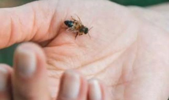 12个急救小技巧