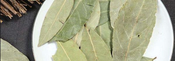 香叶可以油炸吗