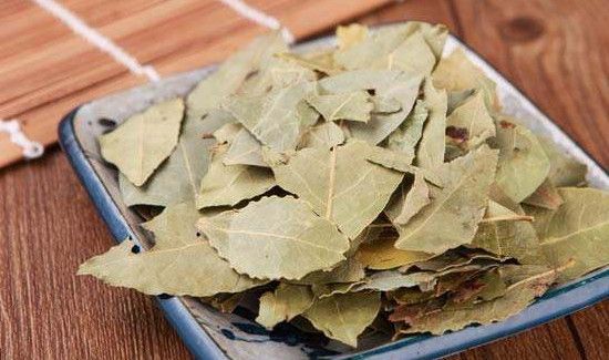 香叶可以直接吃吗