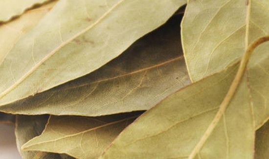 香叶为什么是苦的