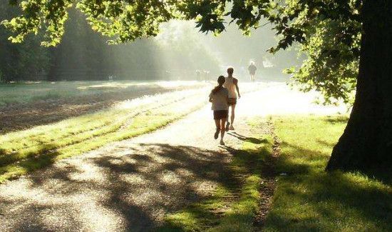 2万步多少卡路里