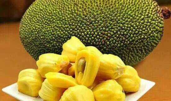 什么人不宜吃大树菠萝