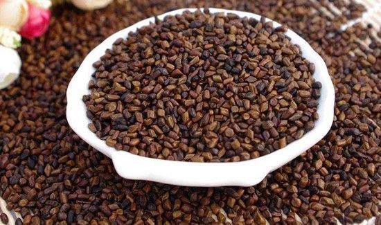 决明子泡茶一次放多少