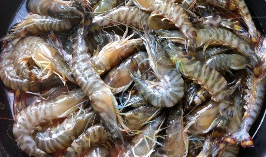 冬枣和虾可以一起吃吗