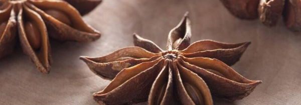 大料能放冰箱保存吗