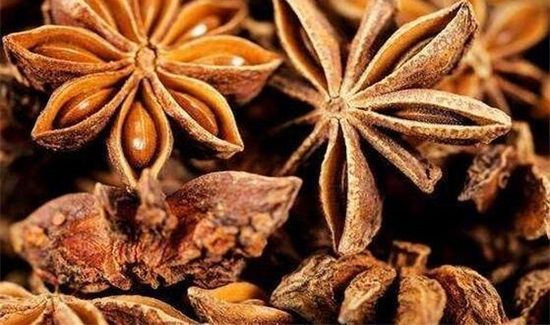 大料能不能放牛肉里炖