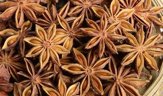 大料能不能放牛肉里炖