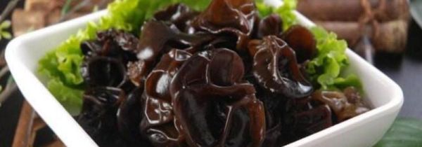 泡好的黑木隔夜可吃吗