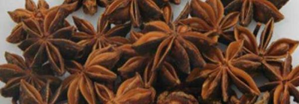 大料长了毛还能吃吗