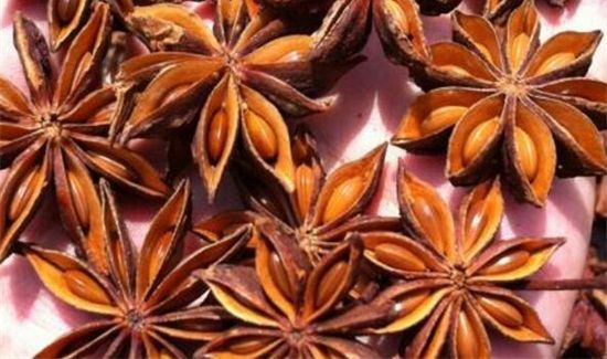 大料能防止大米生虫吗