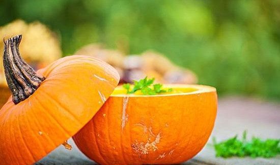 南瓜里含有什么营养