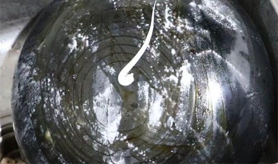 炒菜锅底的黑垢怎么去除家有妙招