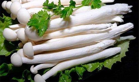 海鲜菇搭配禁忌