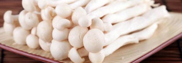 海鲜菇搭配禁忌