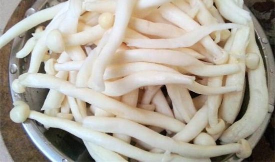 海鲜菇搭配禁忌