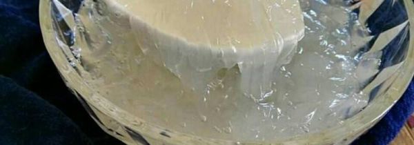 海石花哪些人不能吃