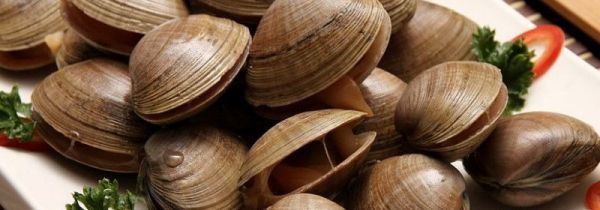 吃蚬子不能吃什么