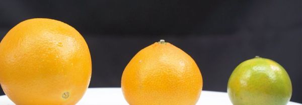 橙子和橘子的区别