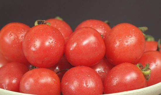 圣女果是转基因的吗