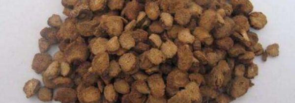 牛蒡茶过期了还能喝吗