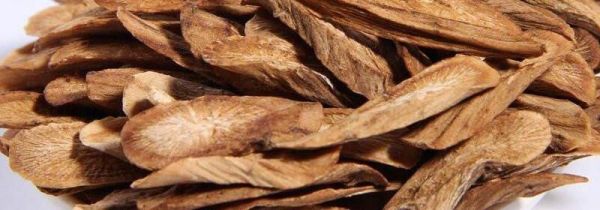 牛蒡茶经期可以喝吗