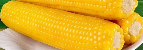 玉米和豆浆可以一起吃吗