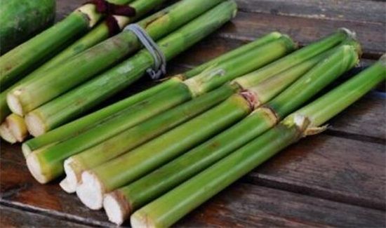 甜芦粟红心可以吃吗