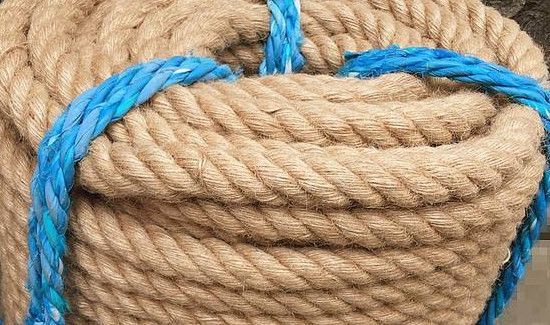 绳的拉力是不是弹力