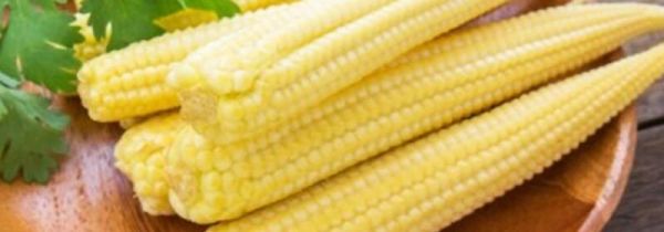 玉米笋禁忌