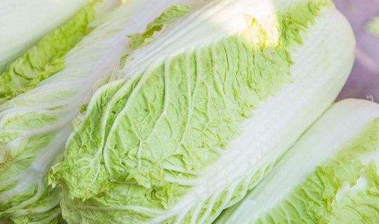 大白菜是发物吗