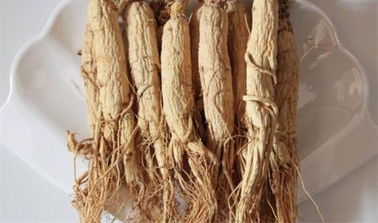 生晒参不适合什么人吃