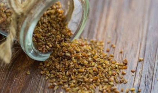 苦荞和枸杞能一起喝吗