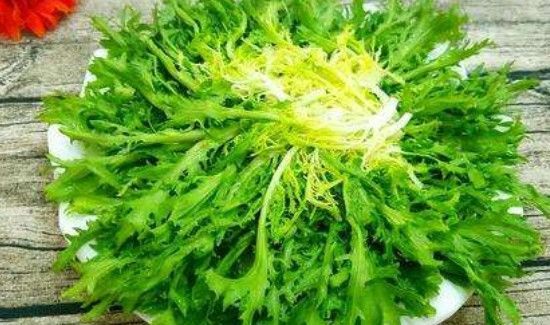 苦菊跟什么相克