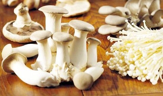 茄子与菌类能同吃吗