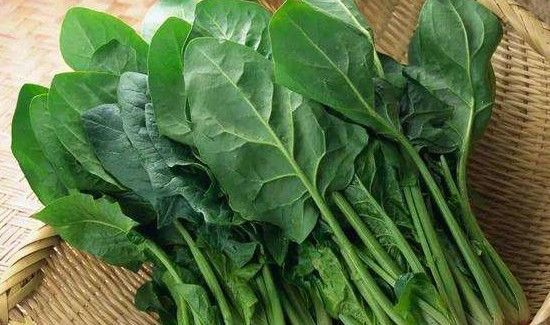 菠菜和鸭肉能一起吃吗