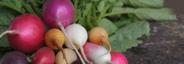 萝卜和豆浆能一起吃吗