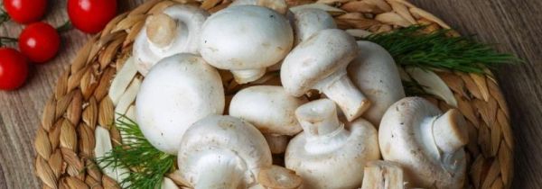 蘑菇可不可以和茄子一起吃?